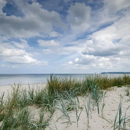 Fewo Prora - Dunengefluster Binz